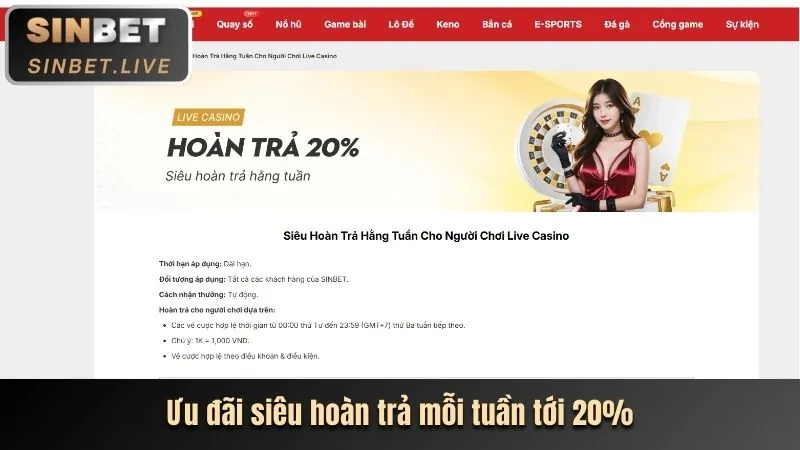 Hoàn trả cược thua không giới hạn ok99 chính thức